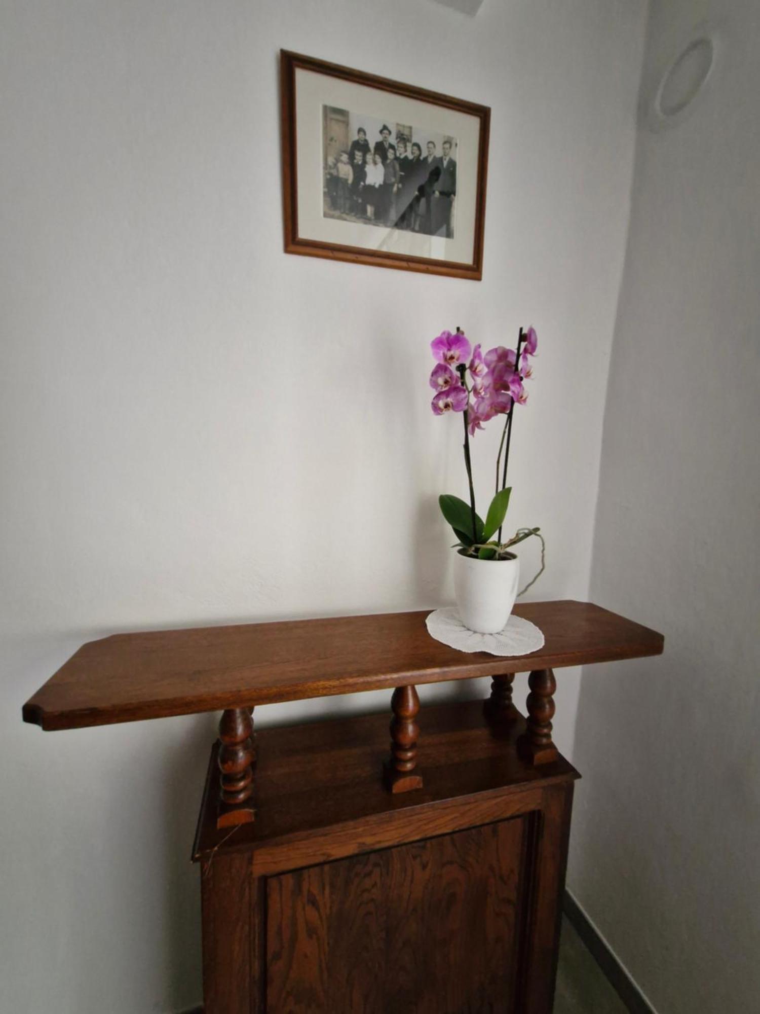 Apartma Jezevi Sezana ภายนอก รูปภาพ