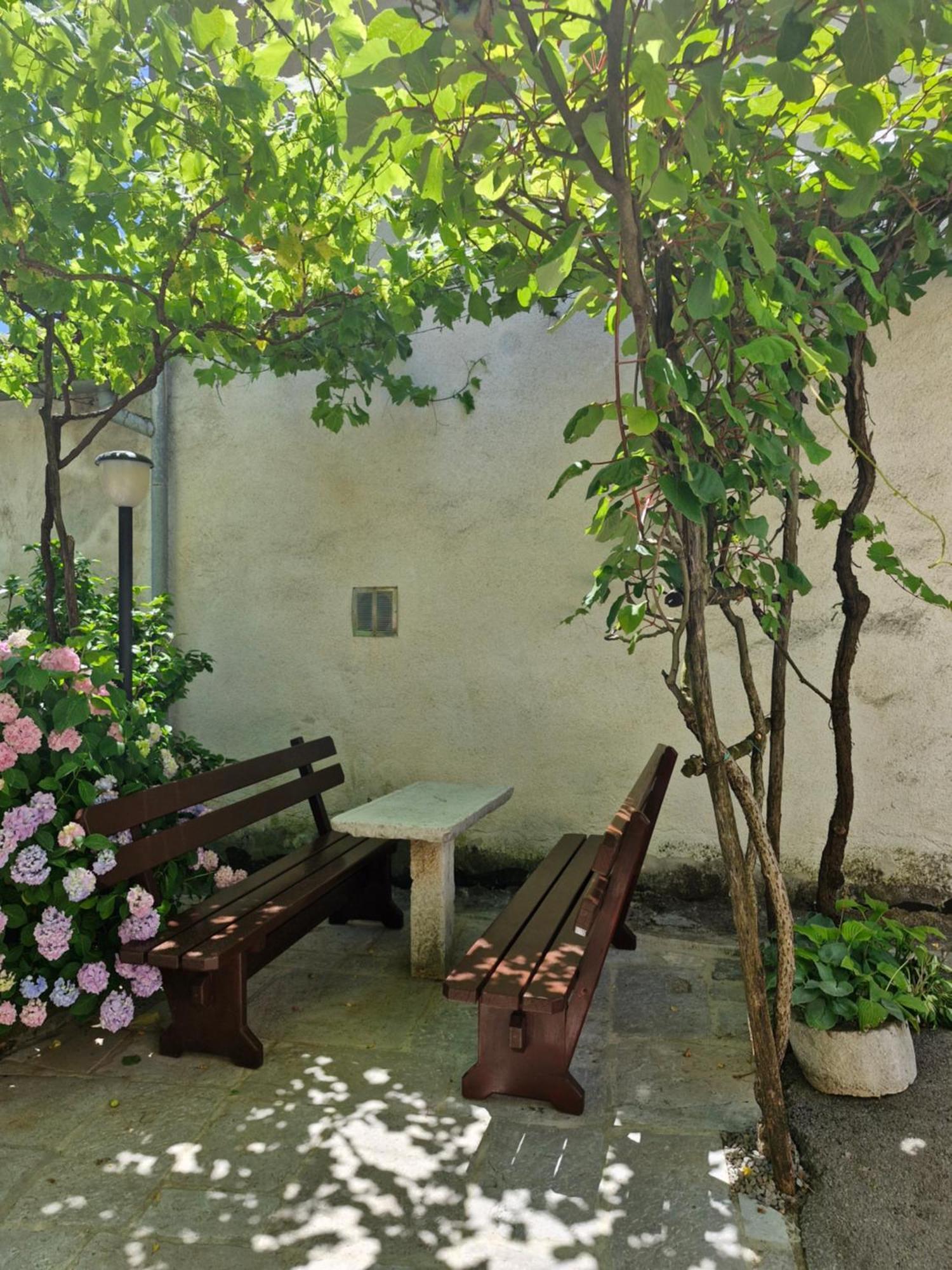 Apartma Jezevi Sezana ภายนอก รูปภาพ